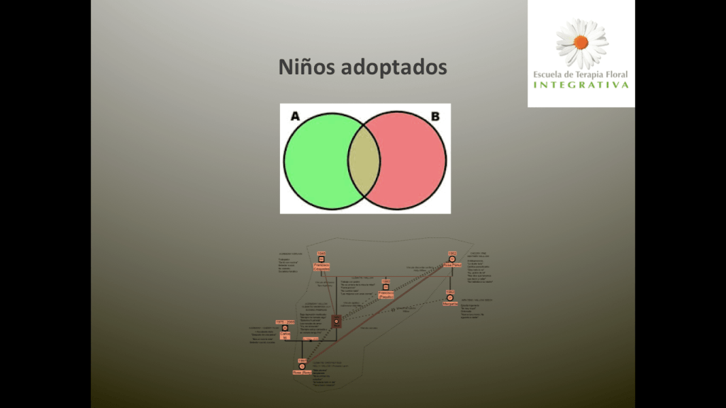 Intersección entre familia biológica y familia adoptiva