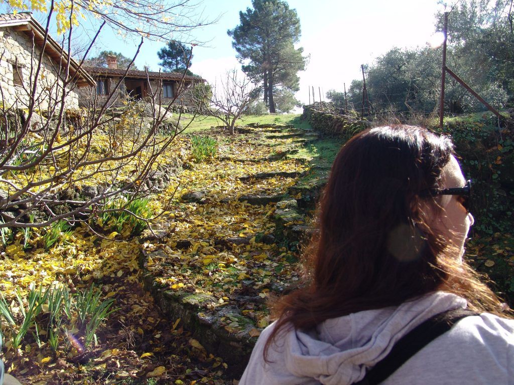 La escalera al cielo de Paula.