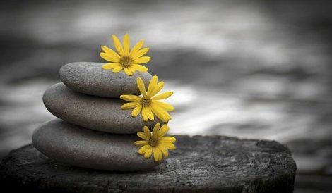 Mindfulness y Terapia Floral