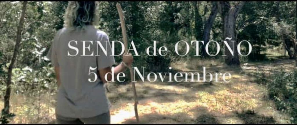 foto senda de otoño