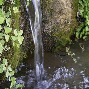 Flores de Bach preocupación por el bienestar de los demás - Rock Water