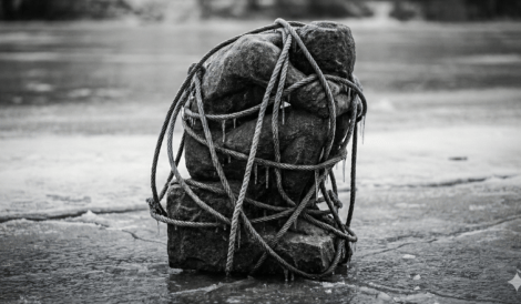 Rock Rose: Psicodinámica del Terror