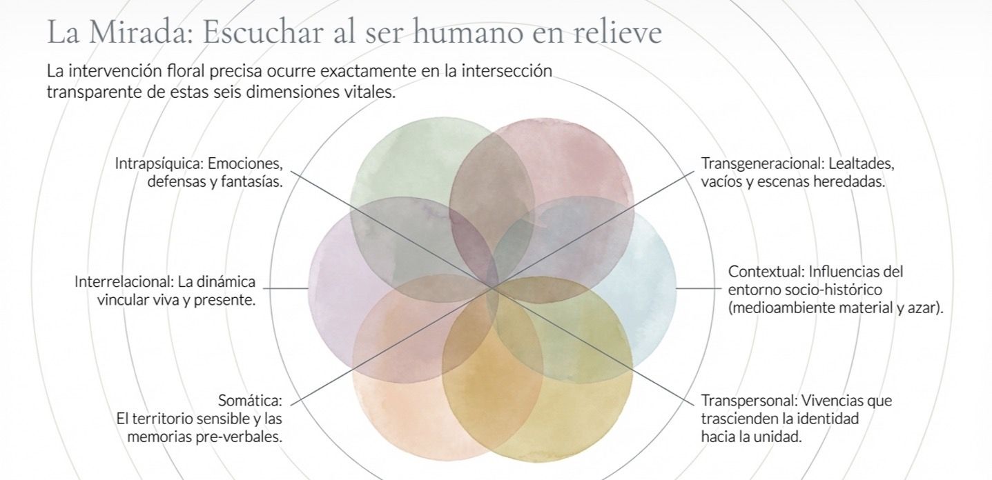 Clínica de Terapia Floral Integrativa - Escuela Susana Veilati.