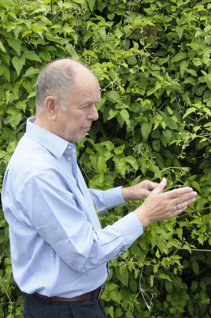 Julian Barnard: evolución de pensamiento y obra.