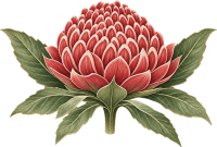 LOGO Bush_OK